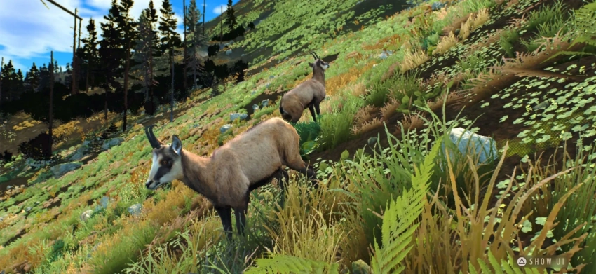 Симулятор охоты Way of the Hunter: Wild Europe вышел на iOS и Android с релизным трейлером